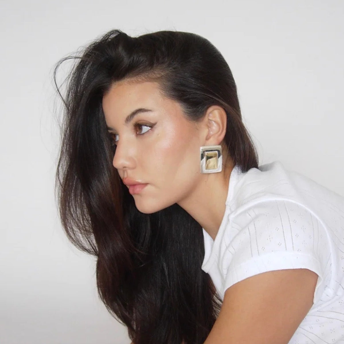 Dual-Tone Rectangle Earrings